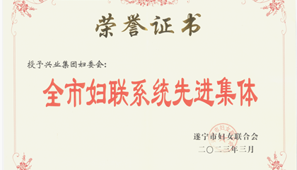 喜報(bào)！興業(yè)集團(tuán)婦委會(huì)榮獲“全市婦聯(lián)系統(tǒng)先進(jìn)集體”榮譽(yù)稱號(hào)