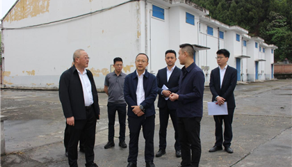 市國資委調(diào)研督導(dǎo)興業(yè)集團(tuán)經(jīng)營管理工作