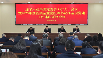 遂寧興業(yè)集團召開黨委會（擴大）會議暨2025年度直屬企業(yè)黨組織書記抓基層黨建工作述職評議會議
