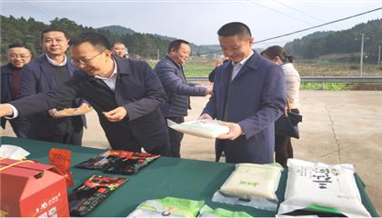 市委常委、政法委書記劉波濤帶隊調(diào)研指導(dǎo)定點(diǎn)幫扶村鄉(xiāng)村振興工作